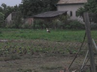 /album/fotogaleria/img-20130523-200321-jpg/