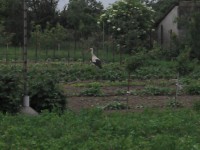 /album/fotogaleria/img-20130523-200425-jpg/