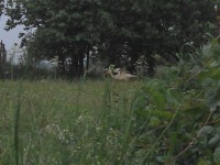 /album/fotogaleria/img-20130523-200903-jpg/