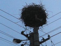 /album/fotogaleria/img-20130523-201624-jpg/