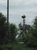 /album/fotogaleria/img-20130529-140649-jpg/