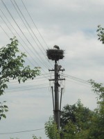 /album/fotogaleria/img-20130529-140718-jpg/