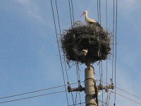 /album/fotogaleria/img-20130614-171900-jpg/