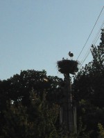 /album/fotogaleria/img-20130614-185741-jpg/