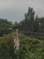/album/fotogaleria/img-20130615-085228-jpg/