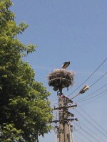 /album/fotogaleria/img-20130620-140204-jpg/
