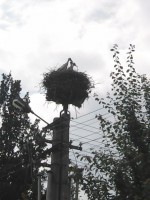 /album/fotogaleria/img-20130630-150125-jpg/