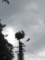 /album/fotogaleria/img-20130711-132119-jpg/