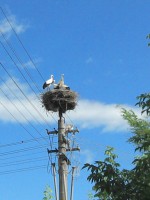 /album/fotogaleria/img-20130712-162348-jpg/