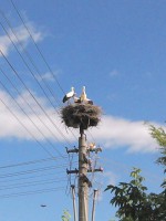/album/fotogaleria/img-20130712-162352-jpg/
