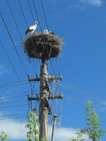 /album/fotogaleria/img-20130712-162403-jpg/
