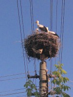 /album/fotogaleria/img-20130714-185219-jpg/