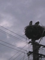 /album/fotogaleria/img-20130715-191429-jpg/