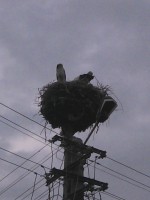 /album/fotogaleria/img-20130715-191432-jpg/