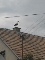 /album/fotogaleria/img-20130715-191459-jpg/
