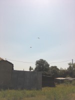 /album/fotogaleria/img-20130729-122801-jpg/