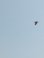/album/fotogaleria/img-20130729-122806-jpg/