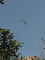 /album/fotogaleria/img-20130729-122810-jpg/