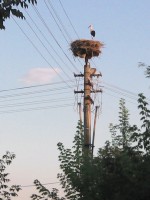 /album/fotogaleria/img-20130803-185941-jpg/